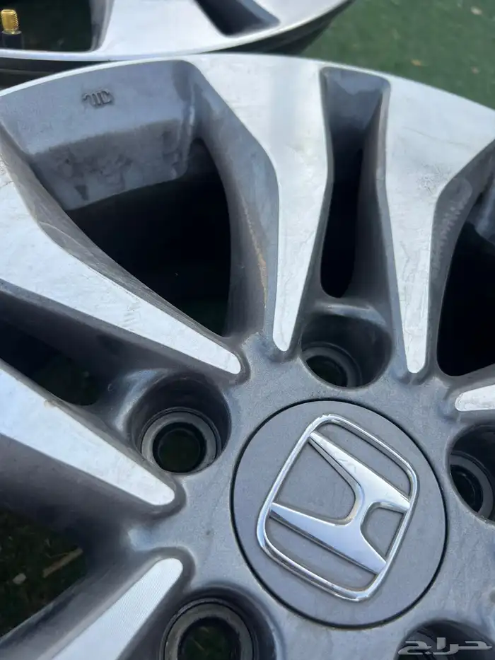 جنوط اكورد وكالة 1