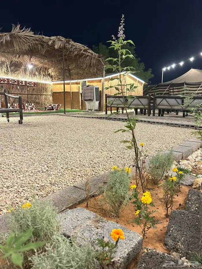 مخيم للإيجار 11