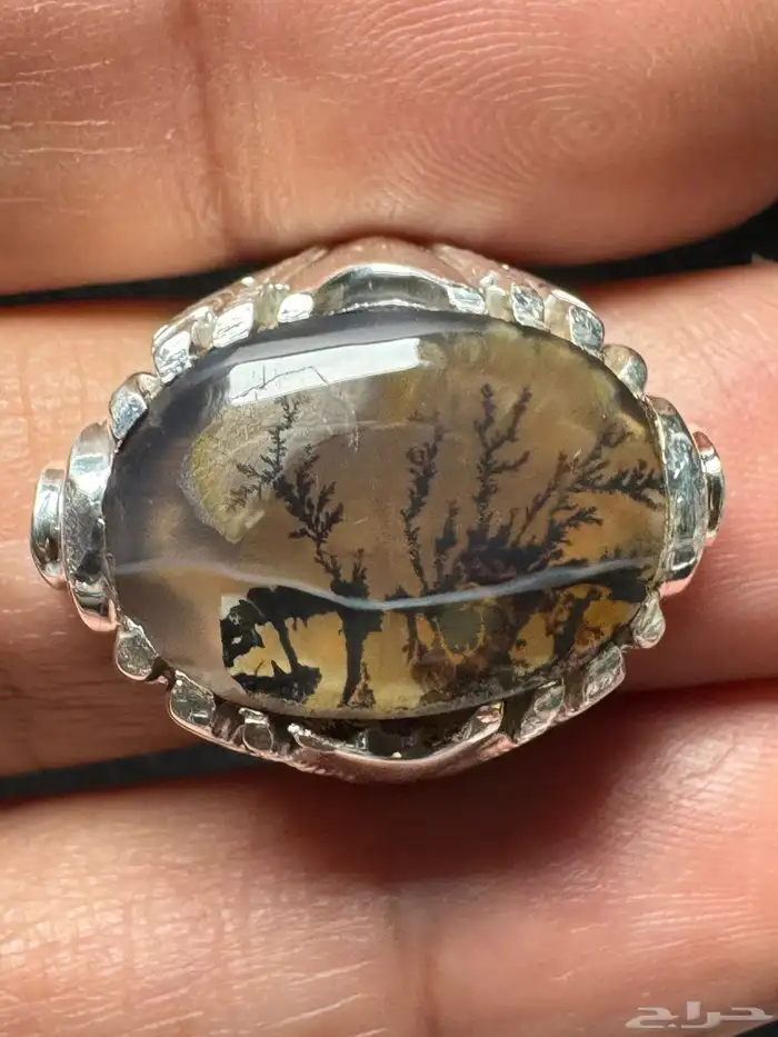 خاتم عقيق يماني شجري مصور صياغة حمادة VIP 0