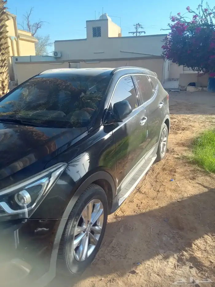 سنتافي وردة للبيع 2017 2