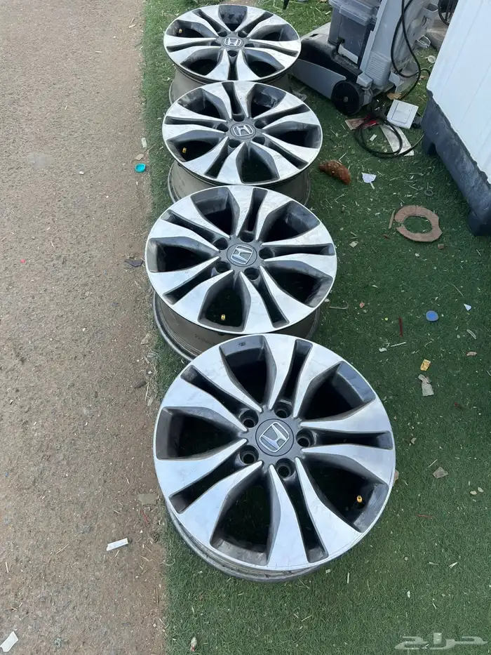 جنوط اكورد وكالة 0