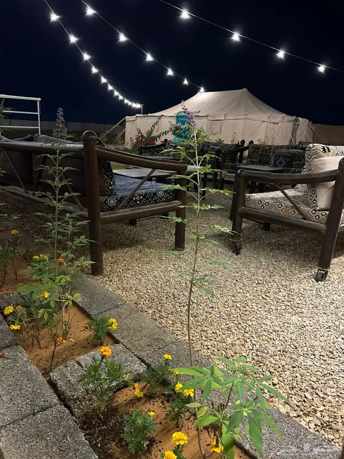 مخيم للإيجار 2