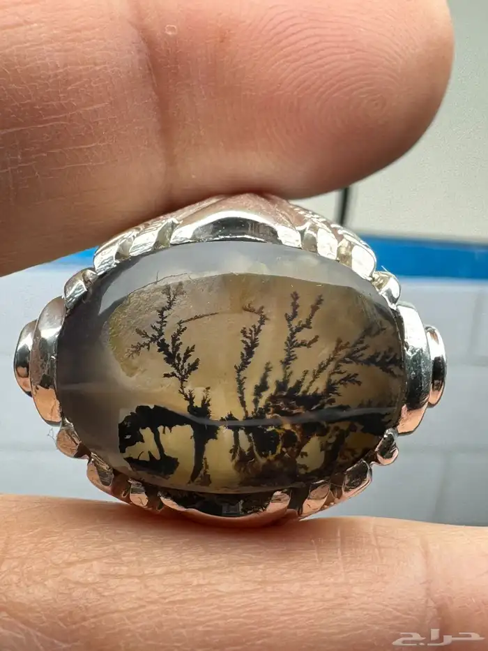 خاتم عقيق يماني شجري مصور صياغة حمادة VIP 3