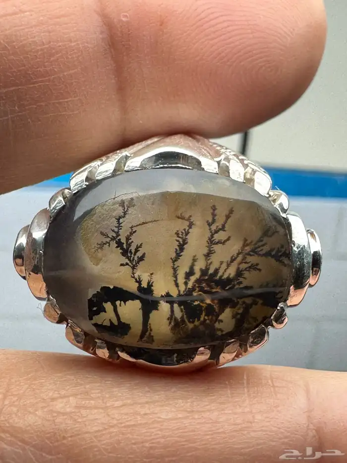 خاتم عقيق يماني شجري مصور صياغة حمادة VIP 5