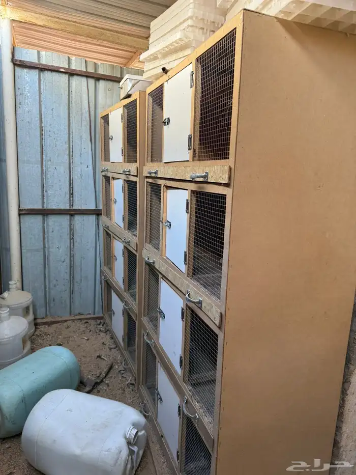 حضانه نظيفه 0