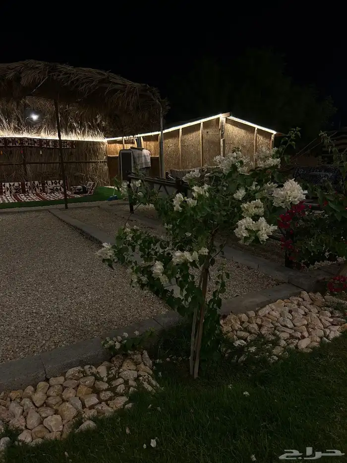 مخيم للإيجار 9