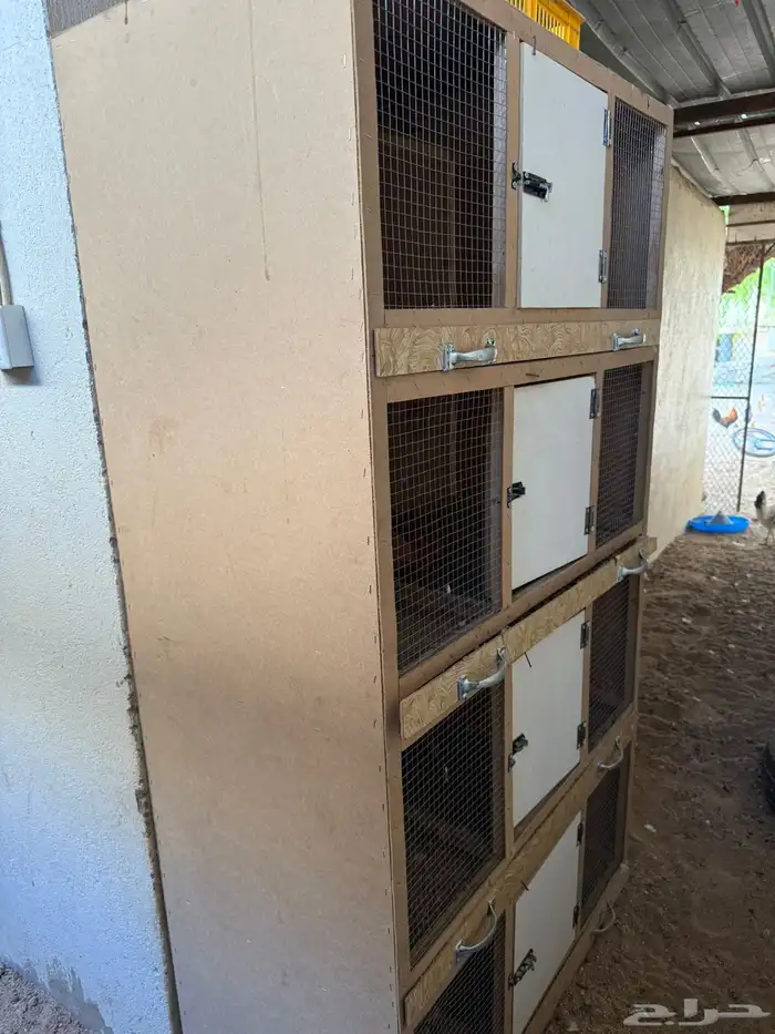 حضانه نظيفه 1