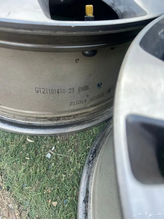 جنوط اكورد وكالة 2