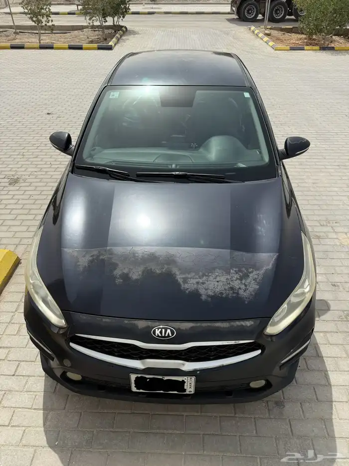 كيا سيراتو 2019 13