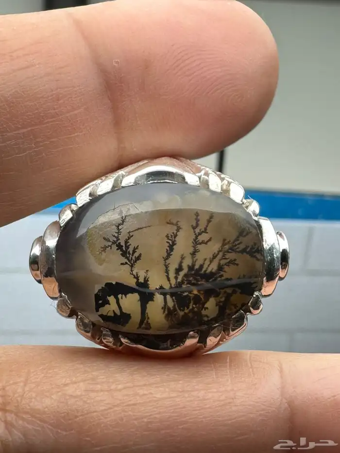 خاتم عقيق يماني شجري مصور صياغة حمادة VIP 14