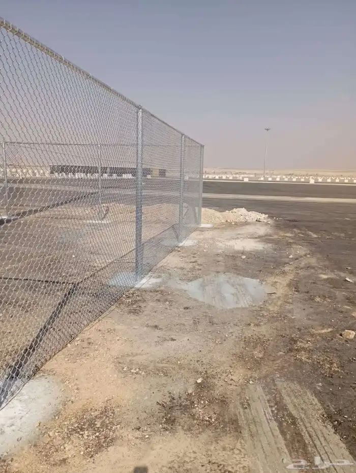 يوجد لدينا توريد جميع انواع نخيل وشبوك 4