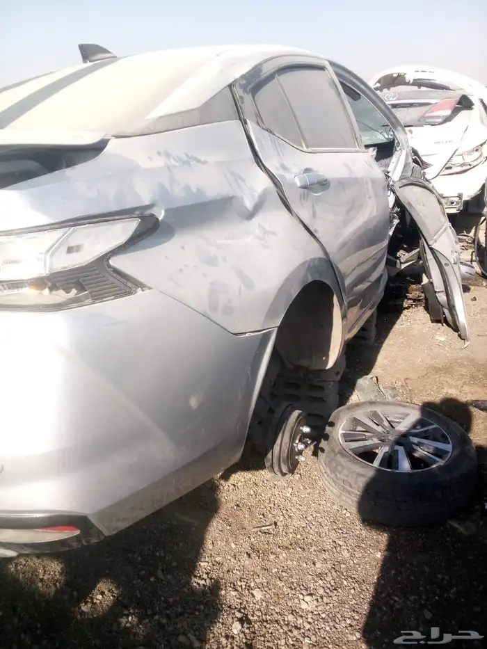 نسيان صني موديل 2024 1