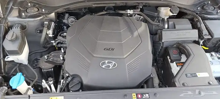 باليسيد 2021 6