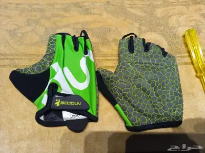 Bick Ride safti Ex index