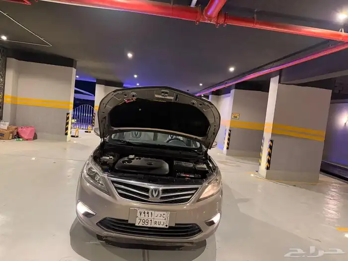 شنجان ايدو 2017 19