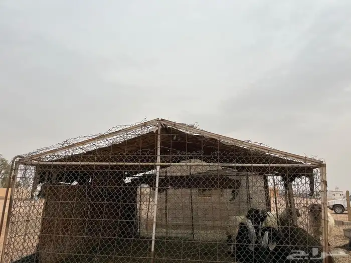 شبك غرفه حديد 1