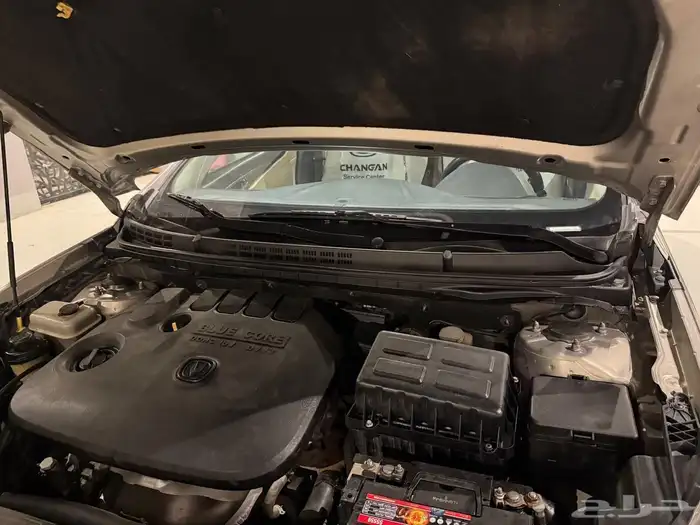 شنجان ايدو 2017 15