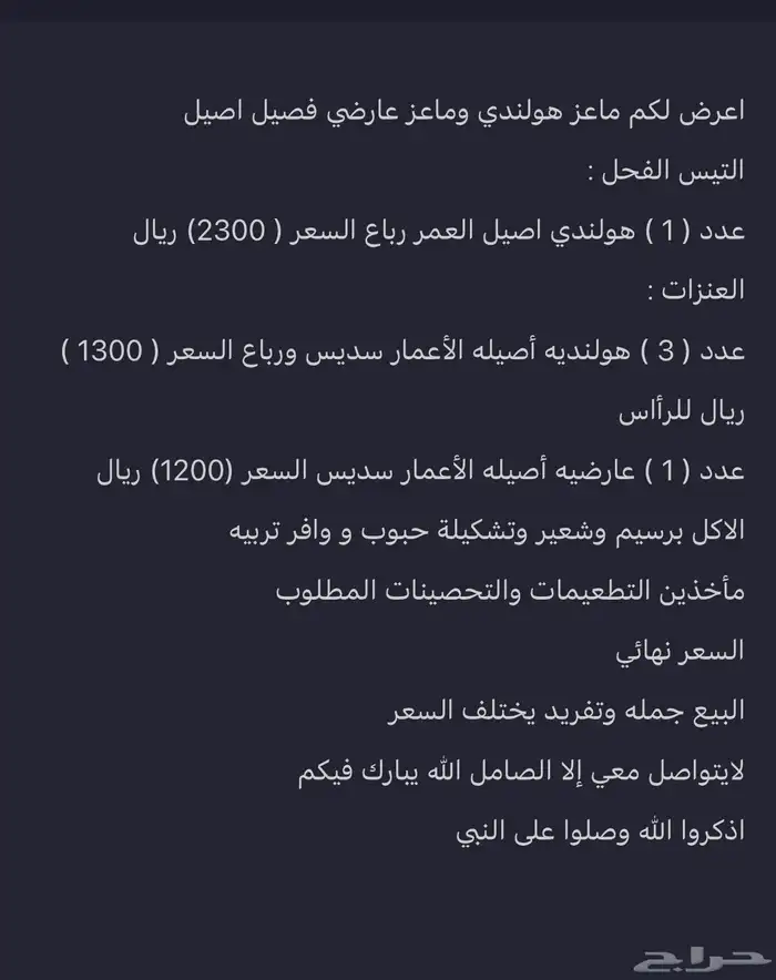 ماعز هولندي وعارضي للبيع 0