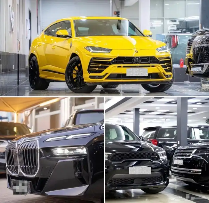 مركز خدمات العناية . تظليل وحماية للسيارات 2