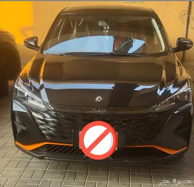 دونغفينج شاين 2025   وكاله index