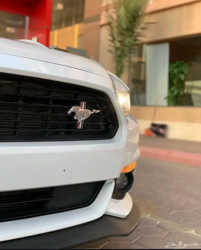 موستنق كالفورنيا سبيشل 2