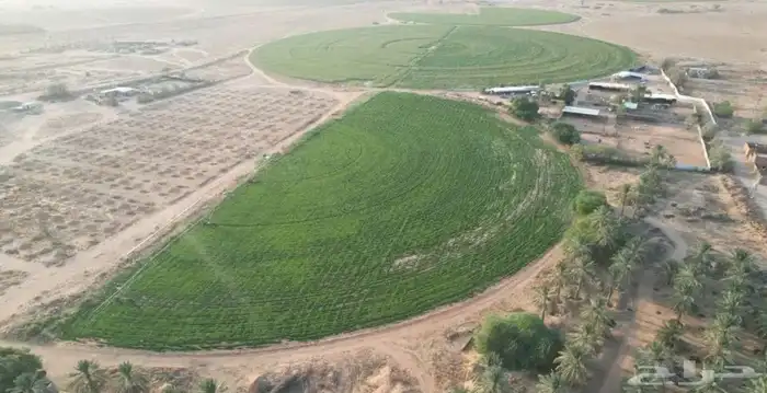 تصوير درون 10