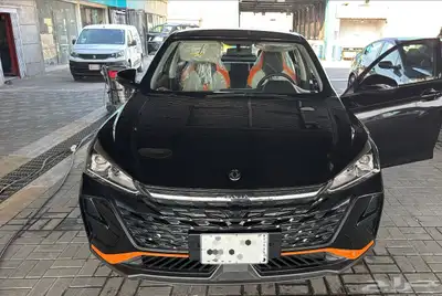 دونغفينج شاين 2025   وكاله index