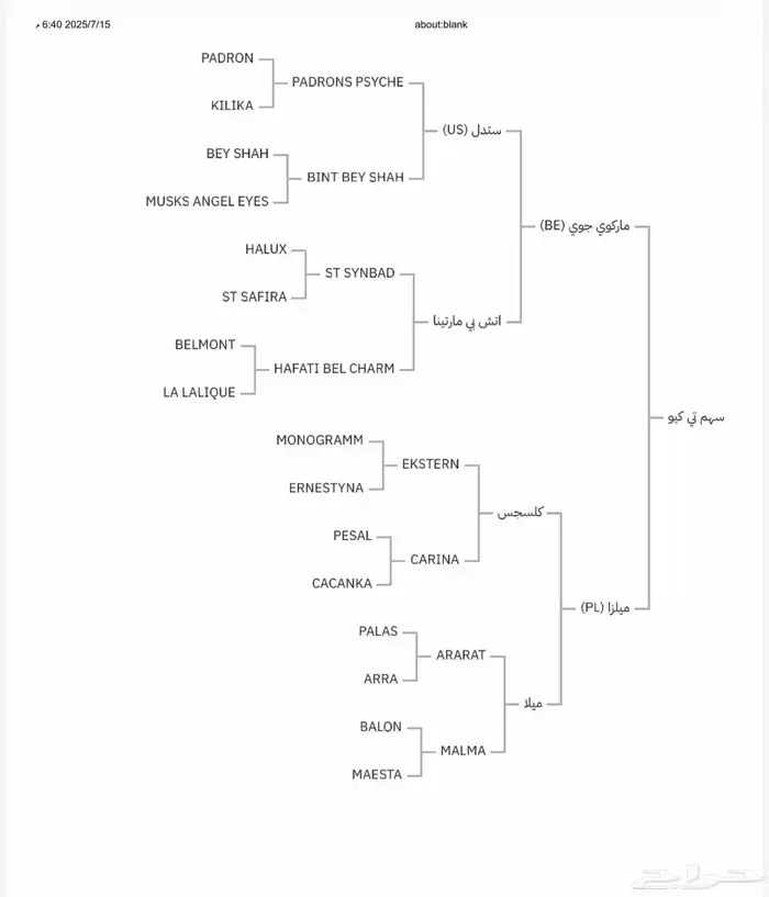 حصان واهو مهر 2