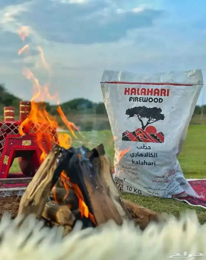 حطب مستورد 2