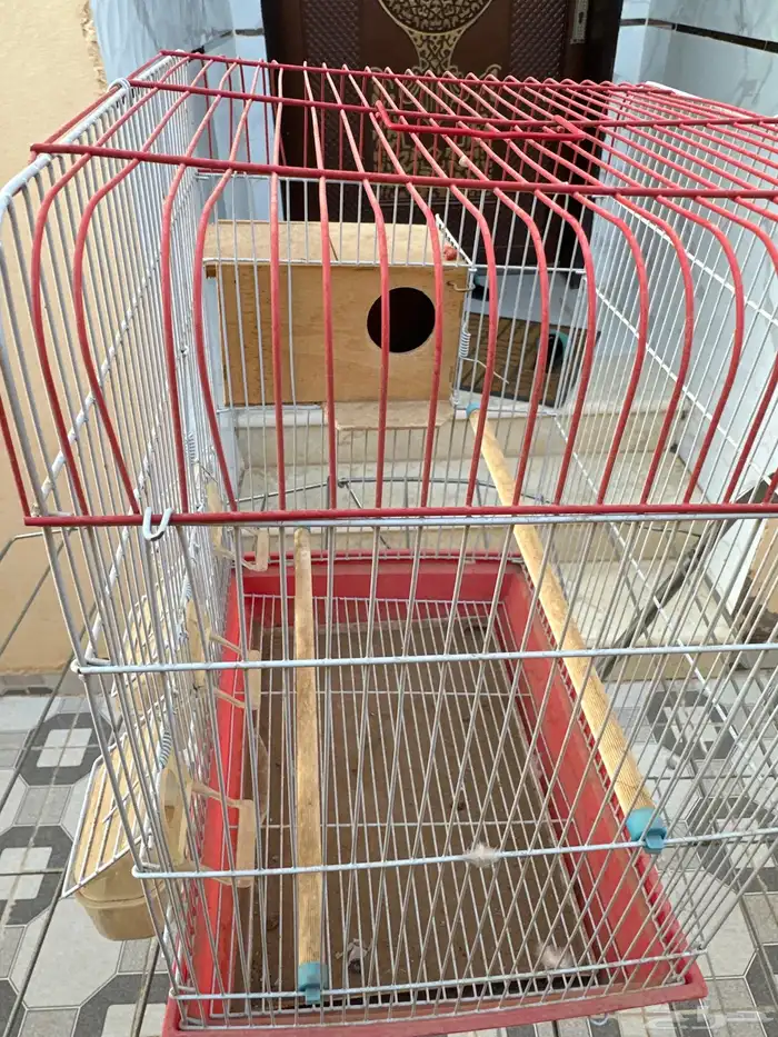 قفص طيور للبيع 1