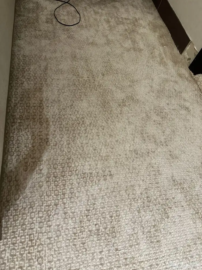 فرشة موكيت فندقي 1