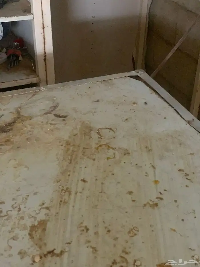 للبيع فقاسه 2112 بيضه فل اوتوماتيك 6