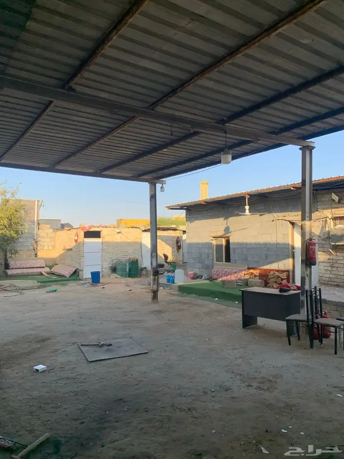 حوش سكراب لتقبيل 4