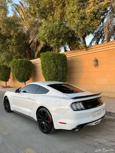 للبيع موستنج 2015 ايكوبوست اصدار 50 عام index