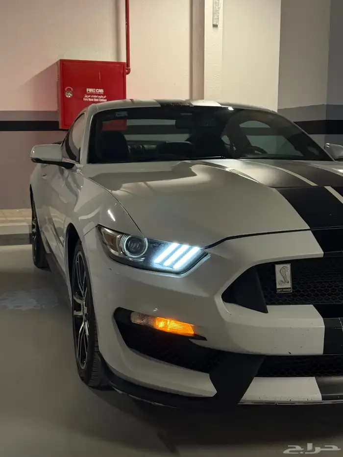 فورد موستنج ايكوبوست 2017 62