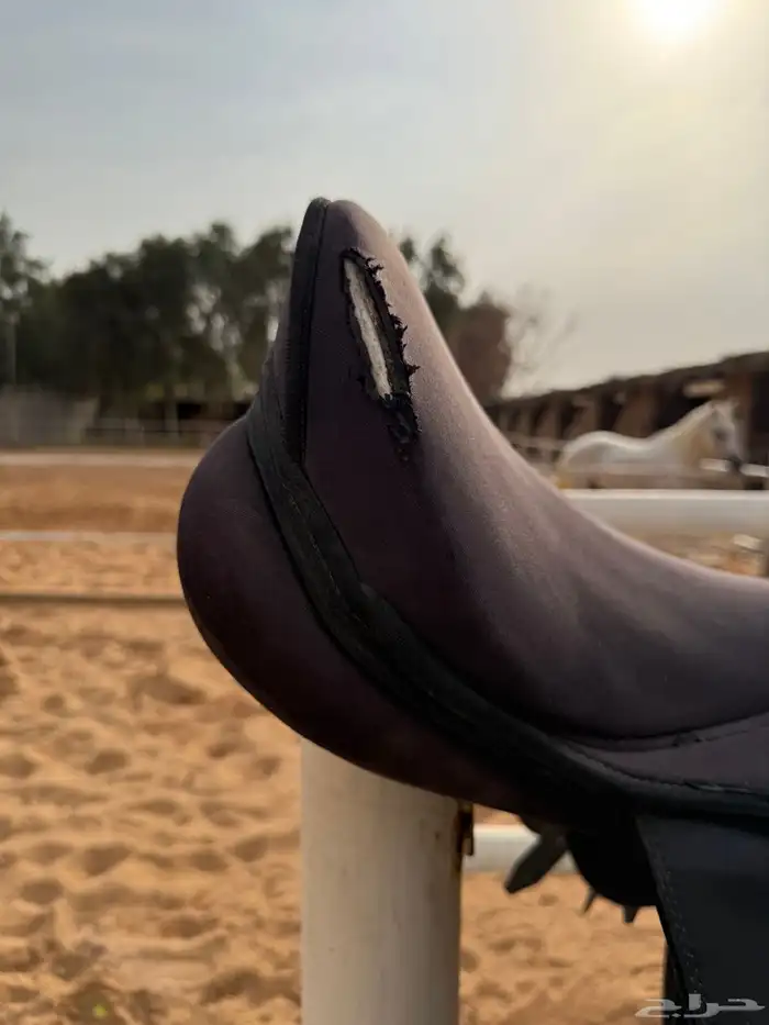 سرج يورو رايدر 4