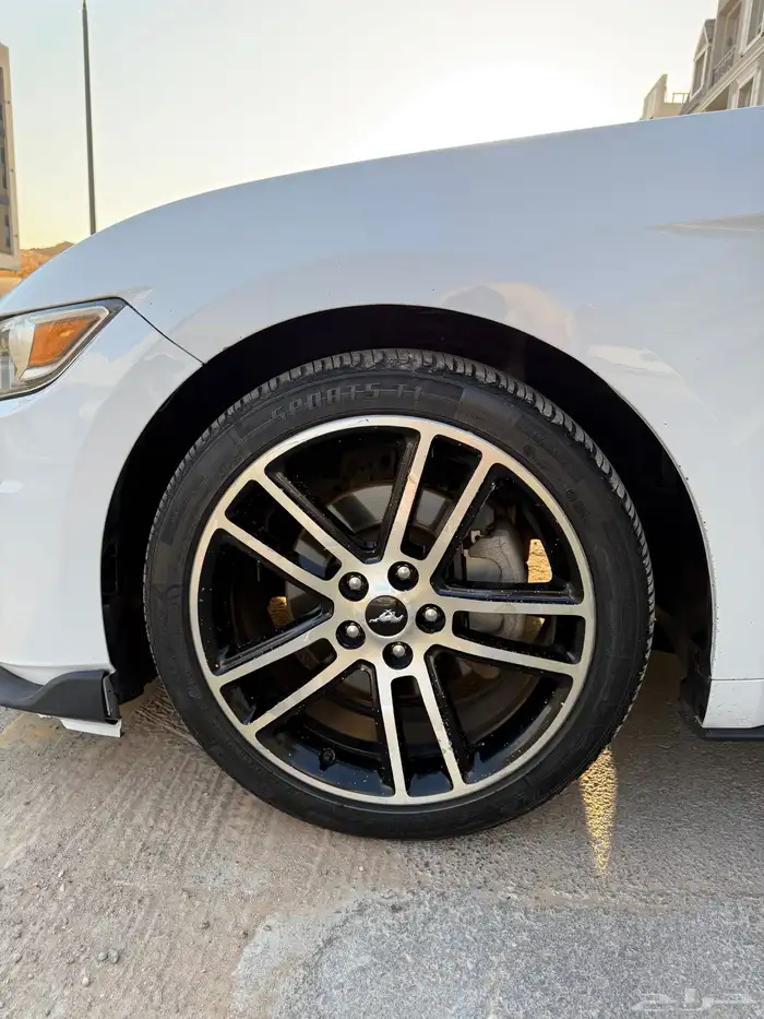 فورد موستنج ايكوبوست 2017 32