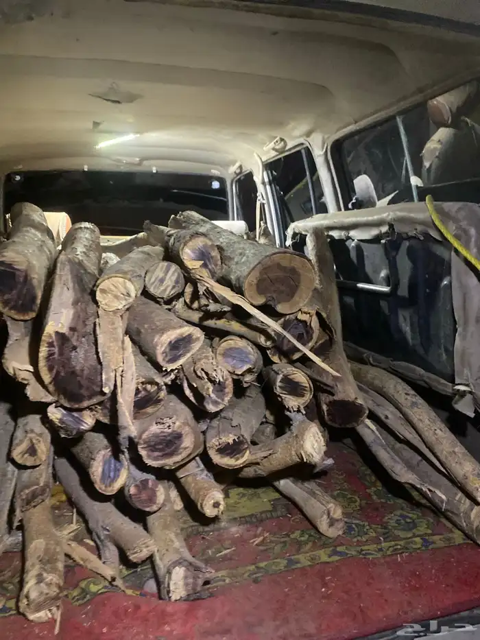 حملت جيب صالون للبيع 0