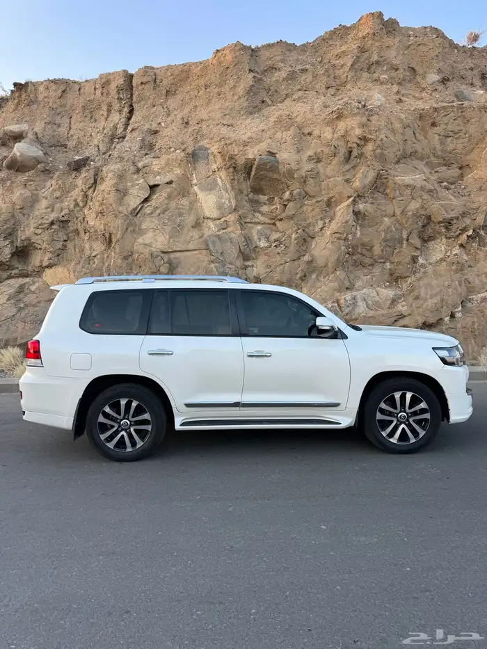 للبيع تورنق 2019 9