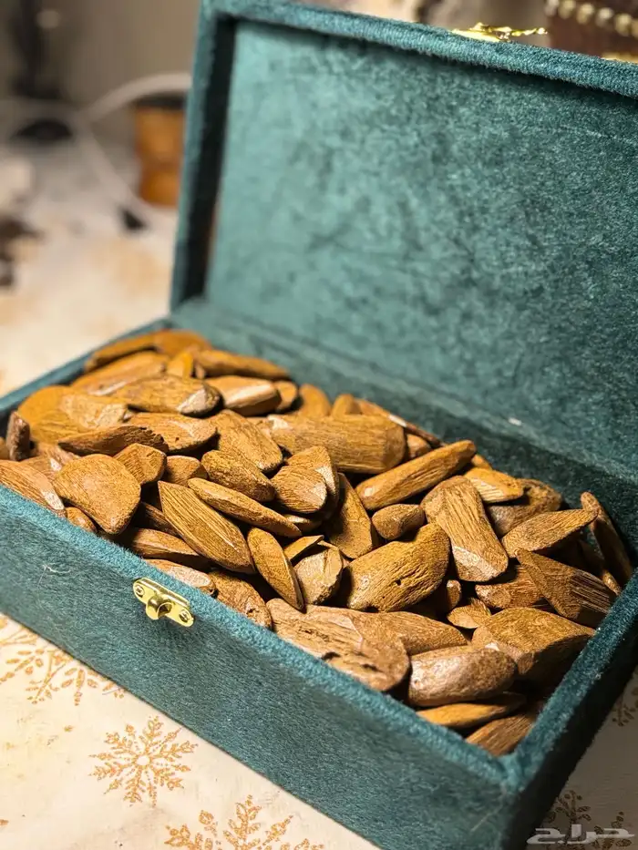 عود موروكي محسن 1