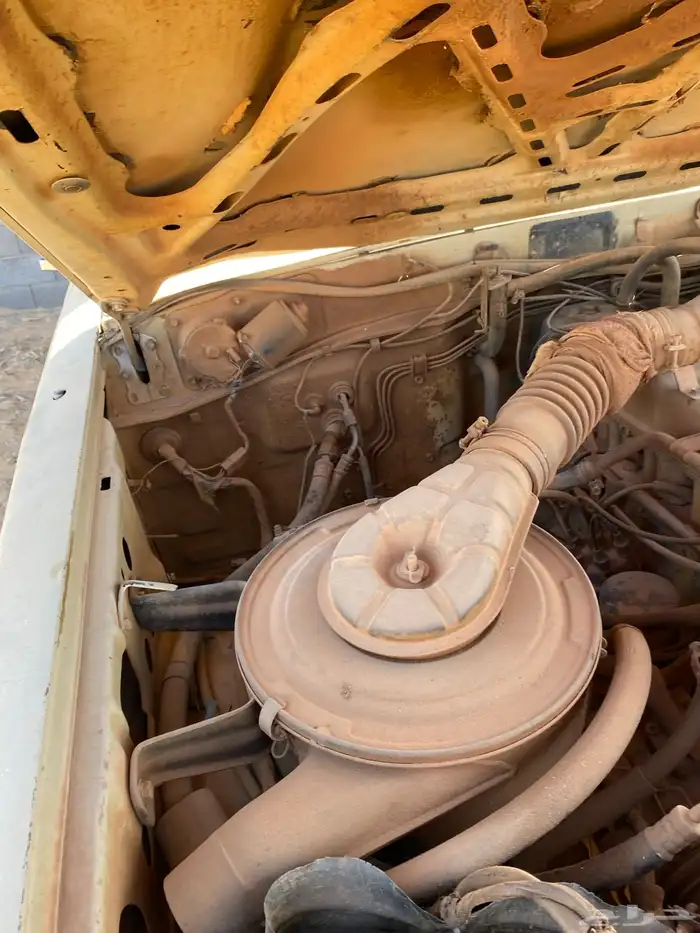 جيب صلون تشليح 10