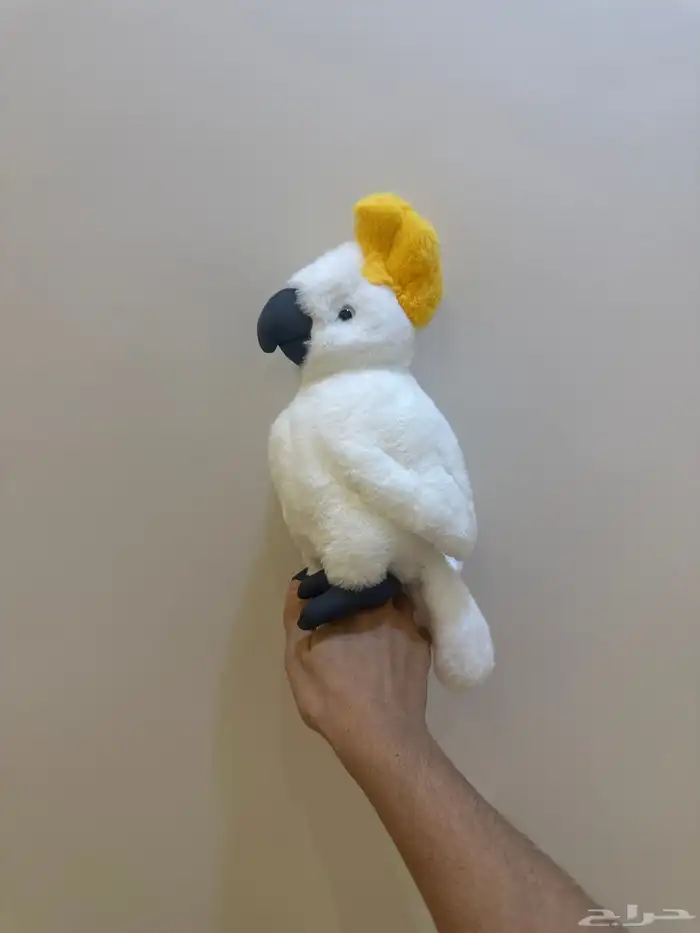 فرخ كوكاتو 2