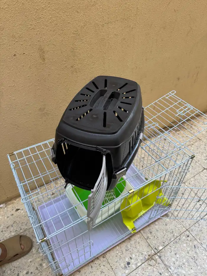 مستلزمات قطط 2