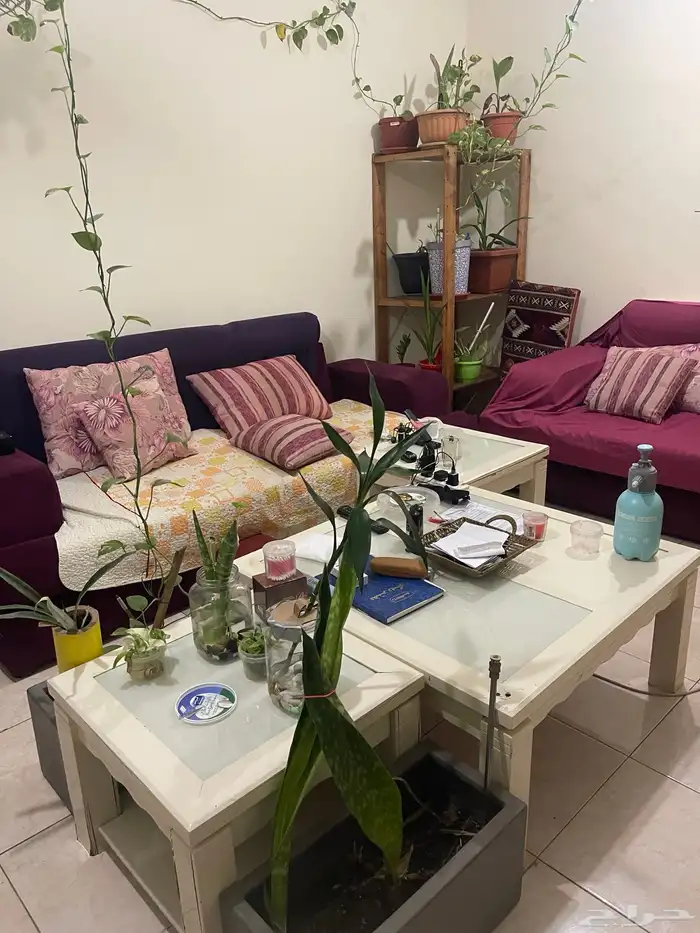 شارع الرزاي بجانب شركة يمك 9