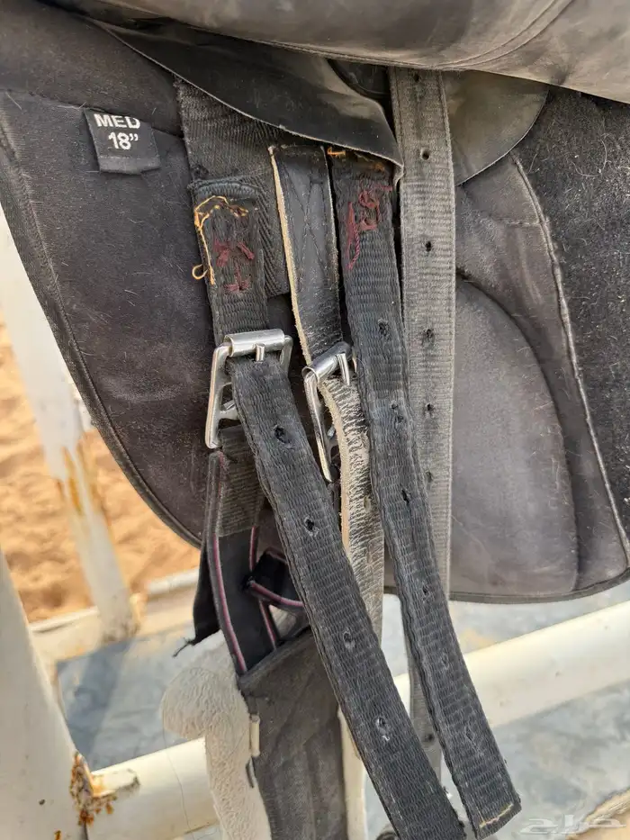 سرج يورو رايدر 5