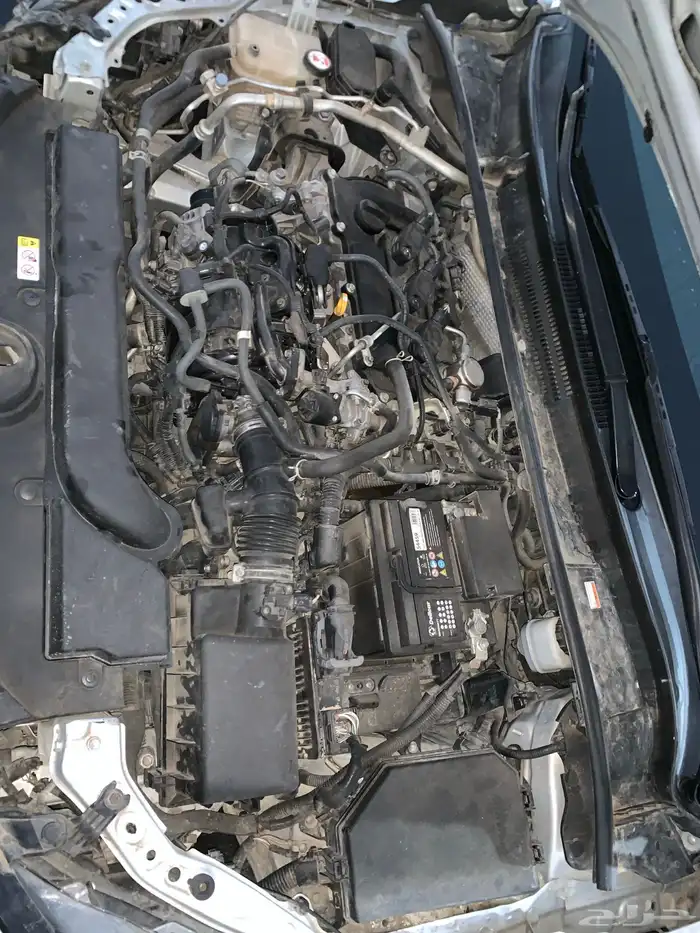 كورولا 2021 13