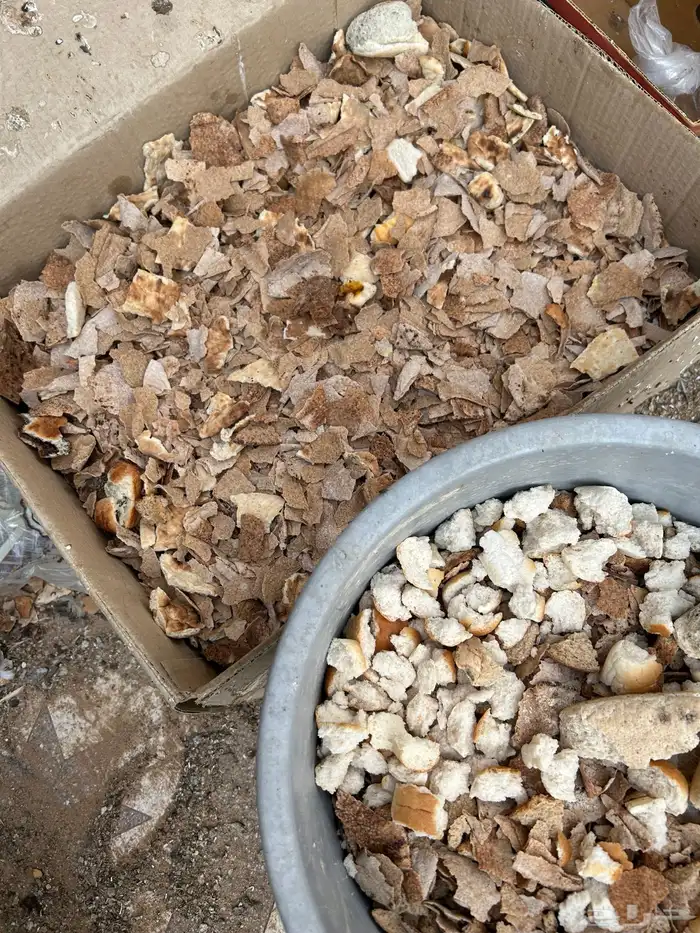 خبز ناشف للحلال 0