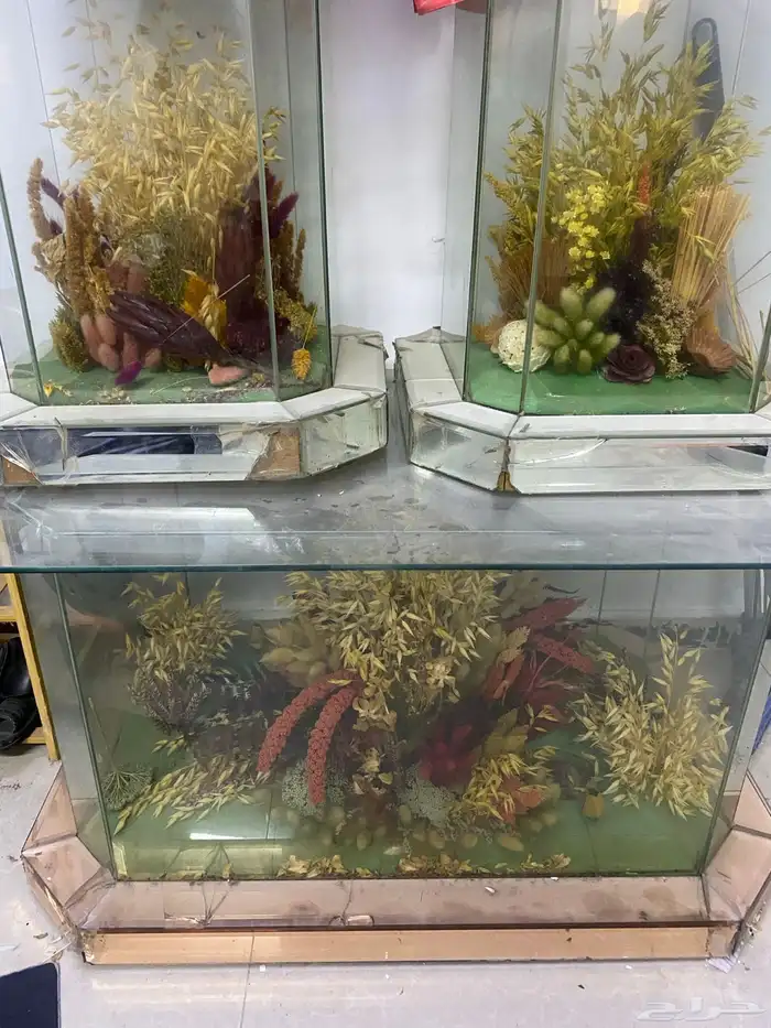 بدون مقابل جلسه وطاولات شاي 0