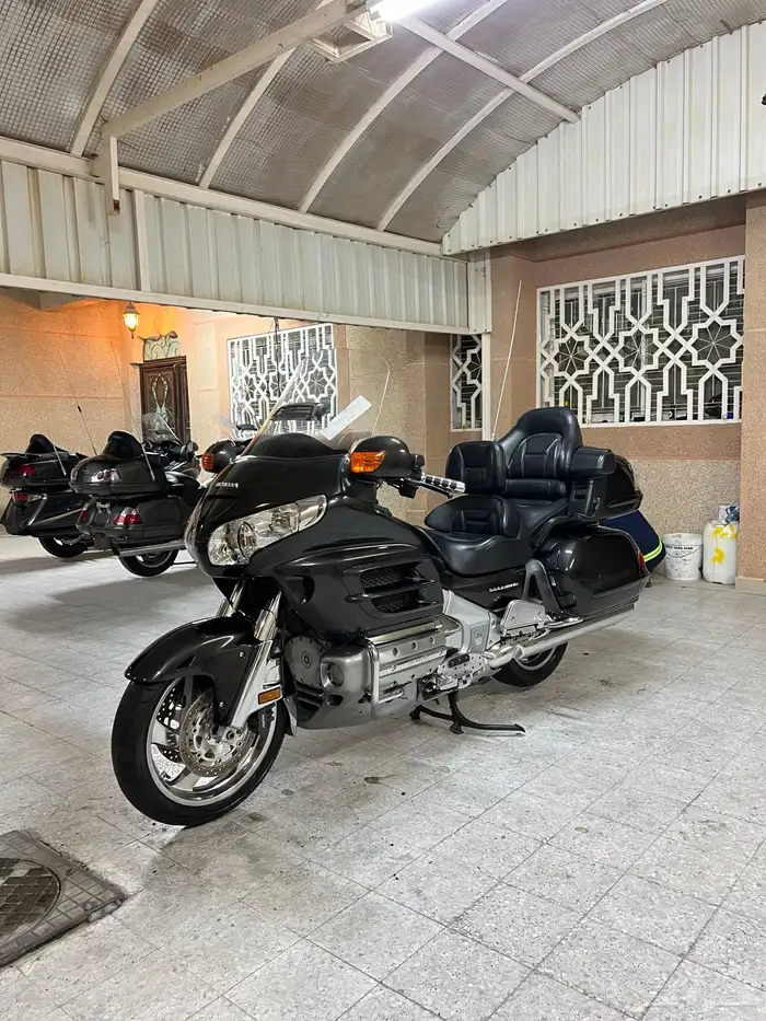 قولد وينق 2010 0