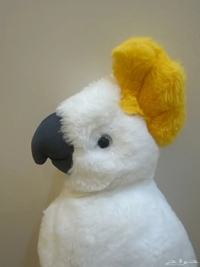 فرخ كوكاتو 5